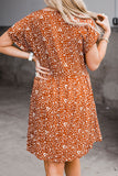 Plus Size V Neck Leopard Print Short Sleeve Mini Dress