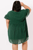Plus Size V Neck Ruffle Swiss Dot Mini Dress with Pocket
