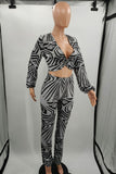 Grey Fashion Casual Print Basic V Neck Long Sleeve Two Pieces