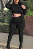 Black Casual Solid Draw String O Neck Plus Size Two Pieces