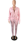 Pink Casual Solid Split Joint Hooded Collar Long Sleeve Two Pieces