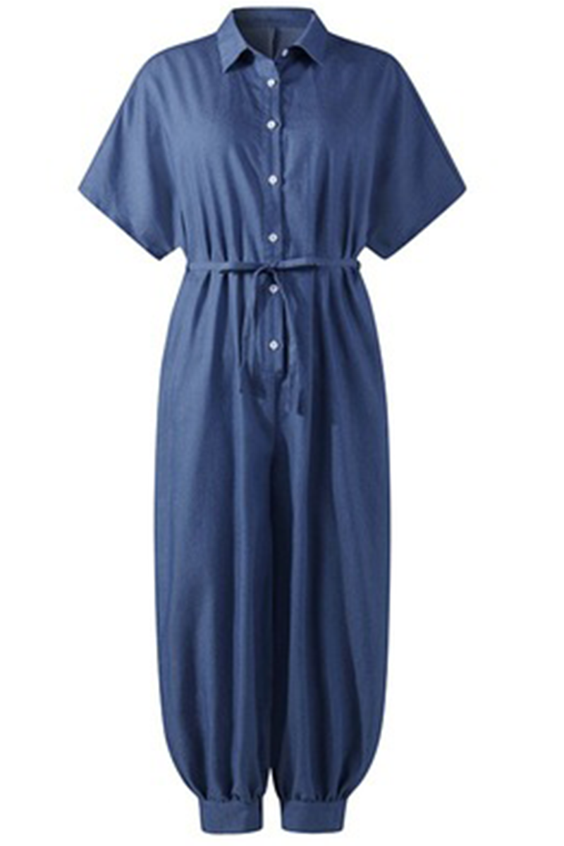 Light Blue Casual Solid Split Joint Turndown Collar Harlan Jumpsuits